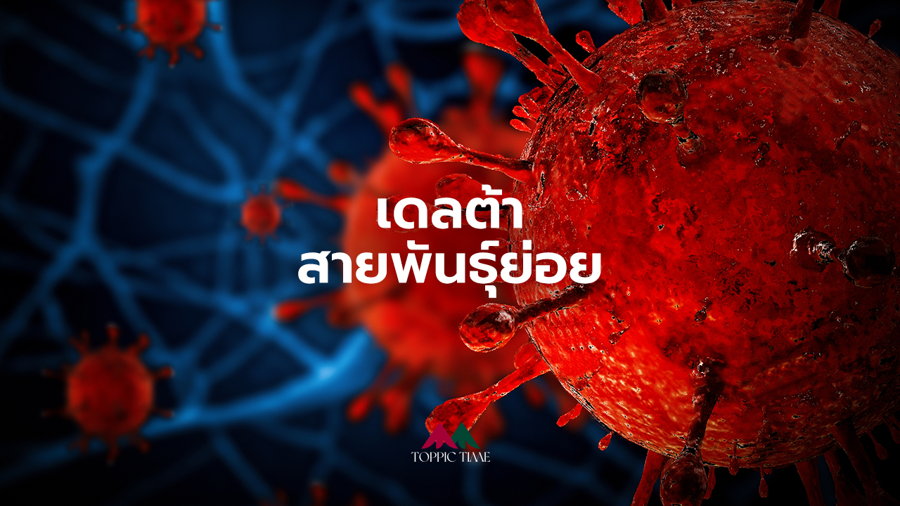 เจาะข้อมูล โควิด-19 กลายพันธุ์ กับ 4 สายพันธุ์ย่อย...ที่ระบาดในไทย