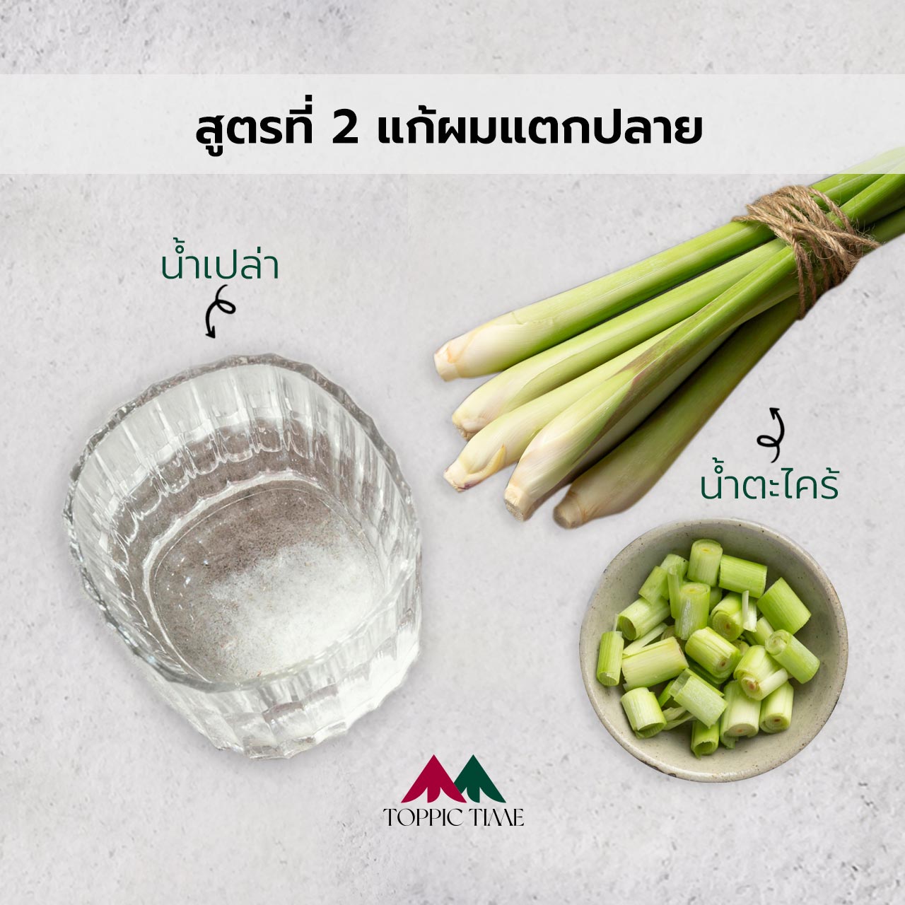 7 สูตรสมุนไพรบำรุงผม 7 สูตรหมักผมที่แก้ปัญหาศีรษะได้จริง!