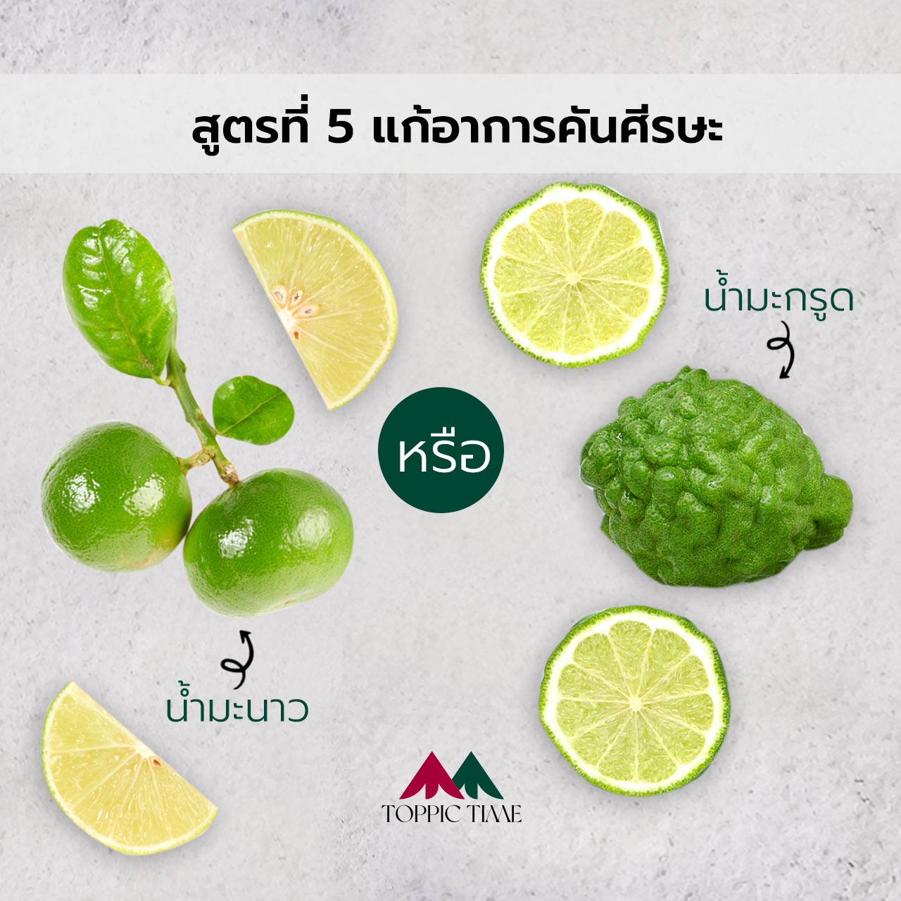 7 สูตรสมุนไพรบำรุงผม 7 สูตรหมักผมที่แก้ปัญหาศีรษะได้จริง!