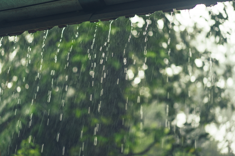 เช็คจังหวัด 'ฝนตกหนัก-หนักมาก' อุตุฯประกาศเตือน!
