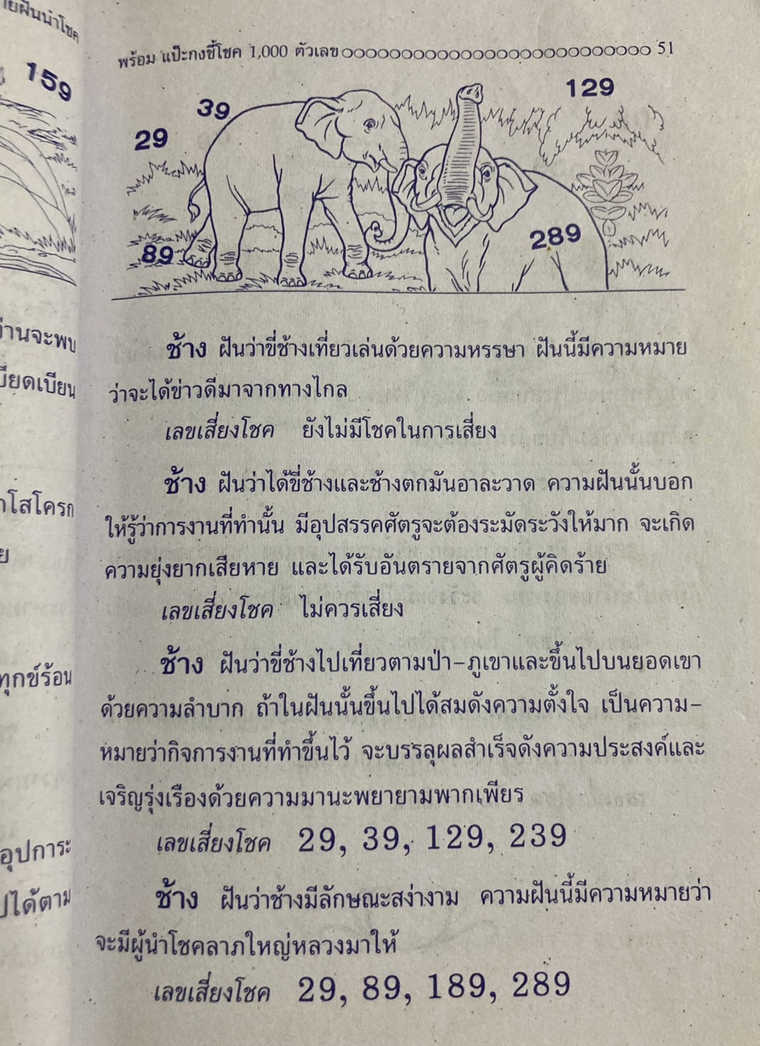 เลขเด็ด พารวยรับปีใหม่!!!