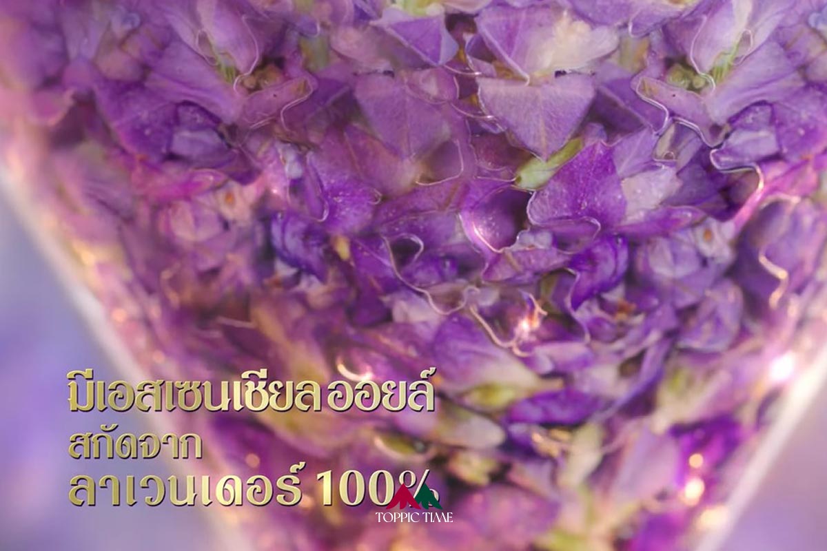 ยกสวน ลาเวนเดอร์ ฝรั่งเศส มาสร้าง กลิ่น ที่บ้านด้วยดาวน์นี่!